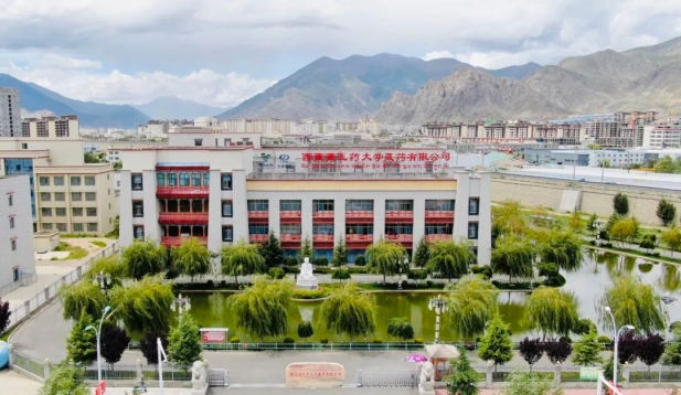 1758697983069019142.jpg 2.jpg